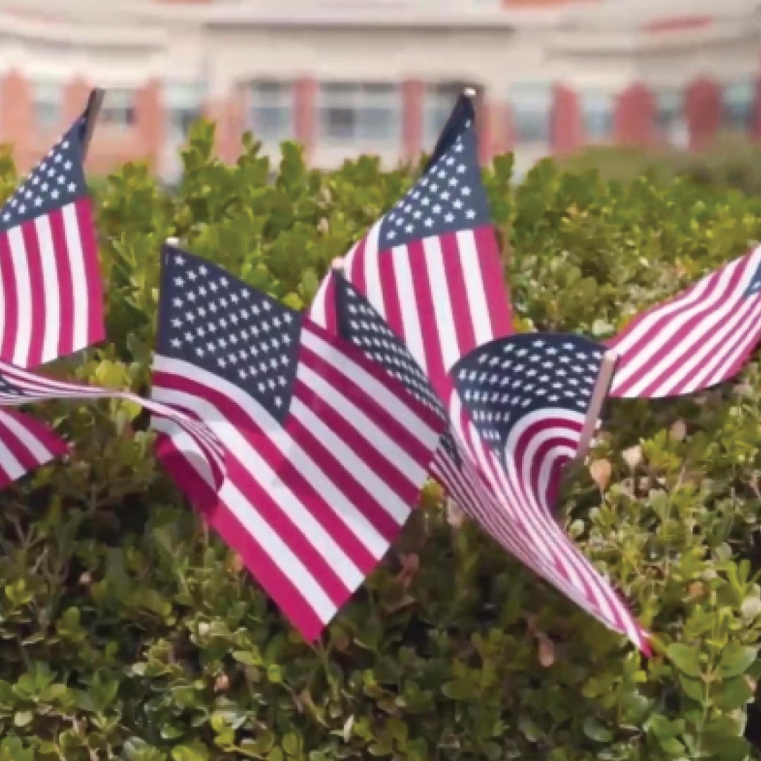 American flags in bush on campus